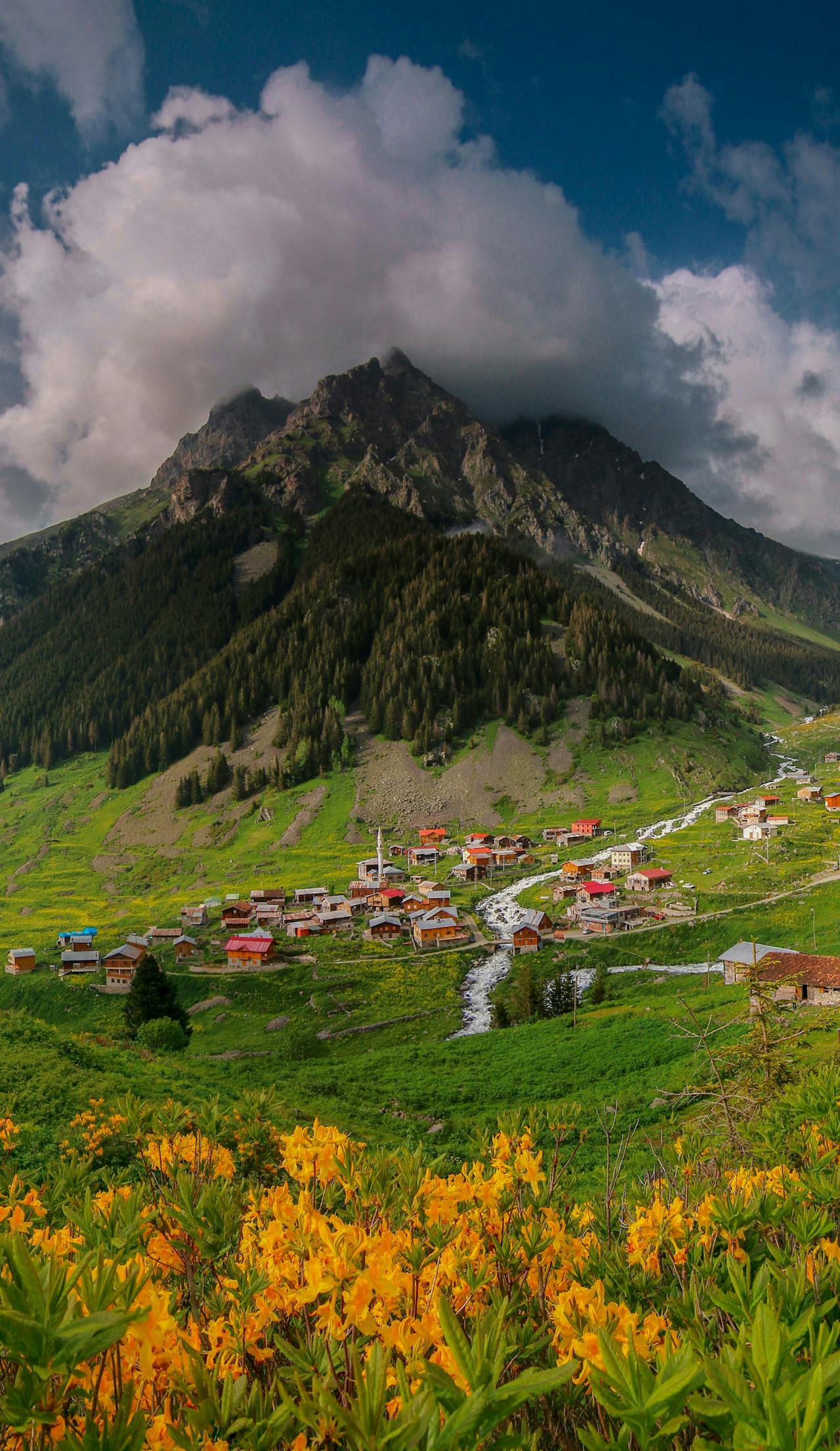 Karadeniz Turları