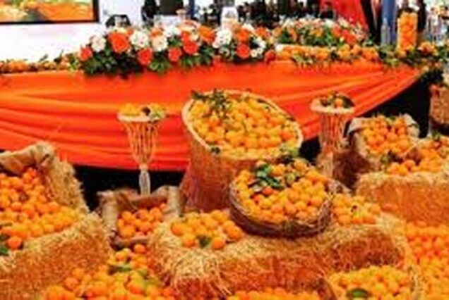 portakal çiçeği karnavalı