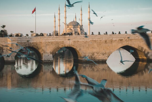 adana taş köprü