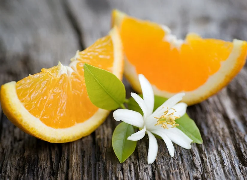 portakal-cicegi-festivali-adana